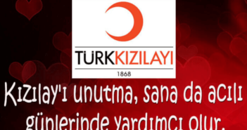 Kızılay'ın Görevleri