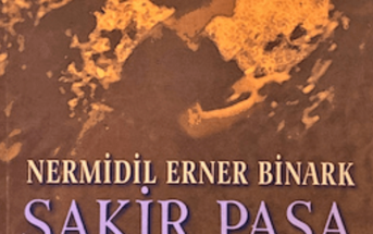 Nermidil Erner Binark