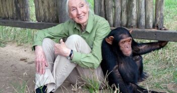 Jane Goodall