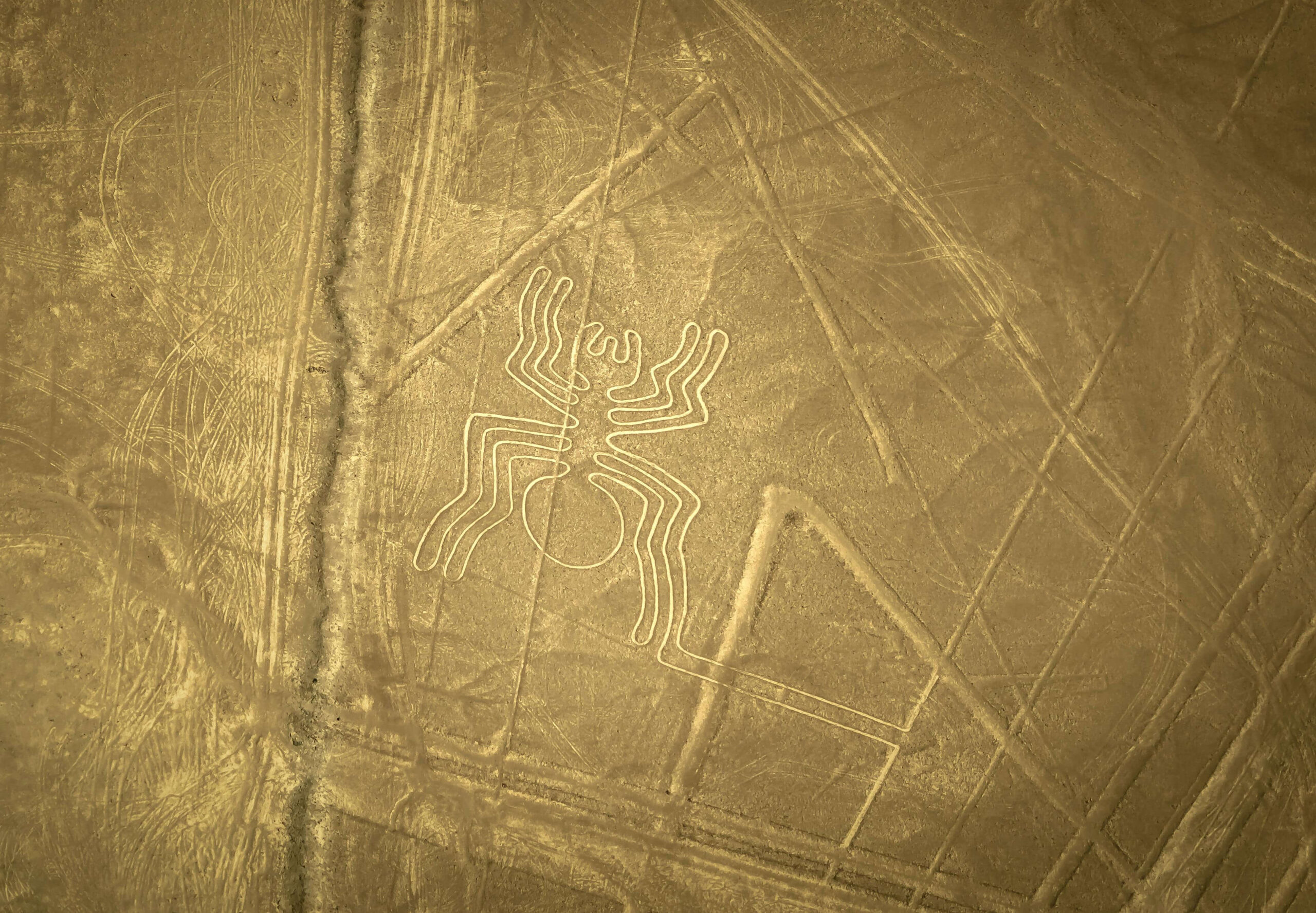 Nazca Çizgileri