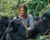 Dian Fossey Kimdir? Gorillerin Korunması İçin Verdiği Mücadele ve Bıraktığı Miras