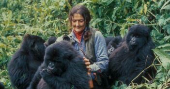 Dian Fossey