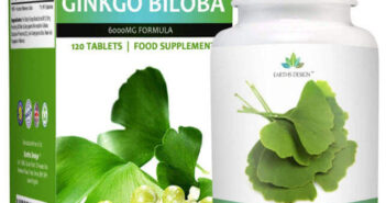 Ginkgo Biloba